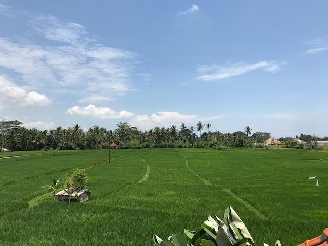 Heavenly View Villa Ubud Exterior foto